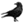 Cornish names and meanings